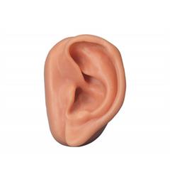 Akupunkturøre modell Venstre øre